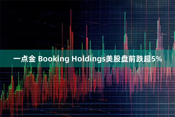 一点金 Booking Holdings美股盘前跌超5%