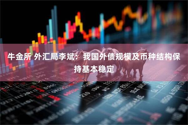 牛金所 外汇局李斌：我国外债规模及币种结构保持基本稳定
