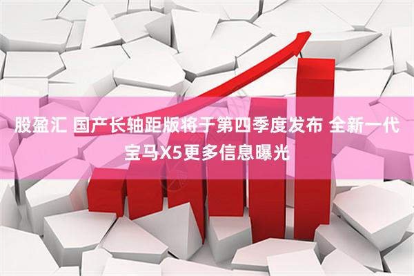 股盈汇 国产长轴距版将于第四季度发布 全新一代宝马X5更多信息曝光